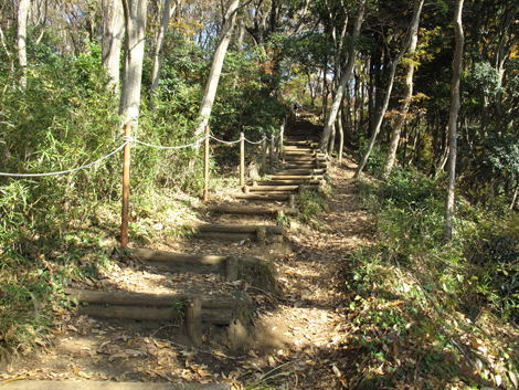 20151209hike (55)